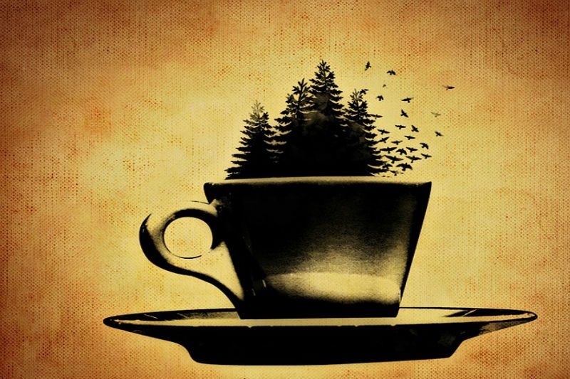 Hikaye: Kafe Şahika