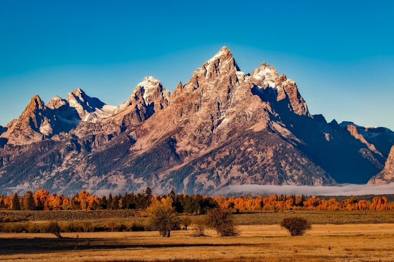 Kariyerini şüpheye borçlu olanlar