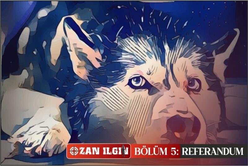 OZAN ILGIN BÖLÜM 5: REFERANDUM