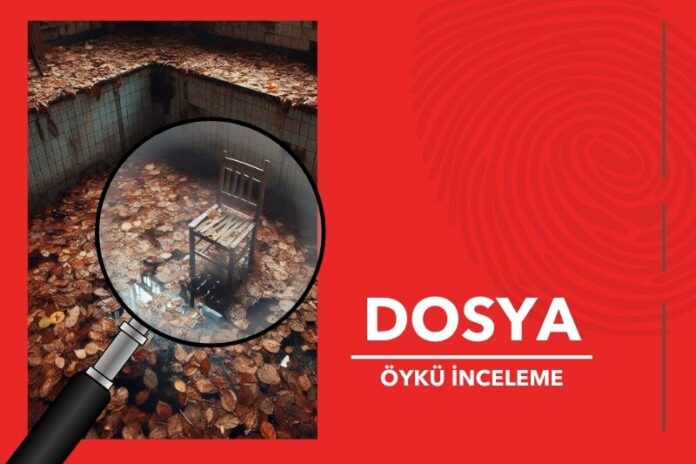 GENCOY SÜMER’İN HAVUZ PROBLEMİ HİKAYESİ ÜZERİNE BİR OKUMA DENEMESİ GENCOY SÜMER’İN HAVUZ PROBLEMİ HİKAYESİ ÜZERİNE BİR OKUMA DENEMESİ