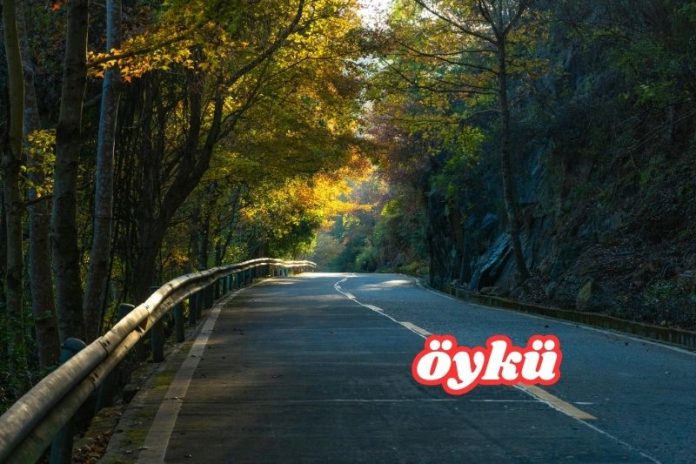 HİKÂYENİN SONU HİKÂYENİN SONU