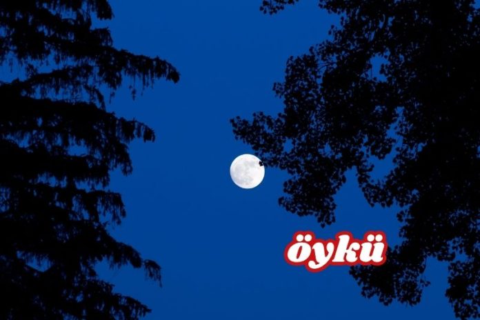 BİR GARİP YOK OLUŞ Yeşim Yörük