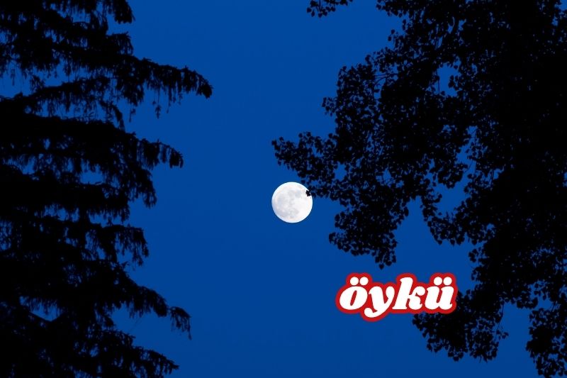 Yeşim Yörük