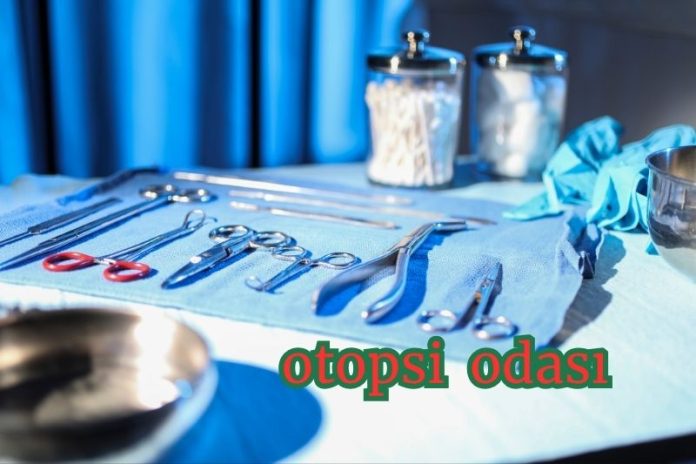 ÖLÜM ZAMANI NASIL TESPİT EDİLİR? ÖLÜM ZAMANI NASIL TESPİT EDİLİR?