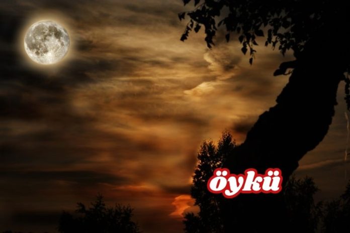 VAMPİR-KÖYLÜ: SON OYUN VAMPİR-KÖYLÜ: SON OYUN