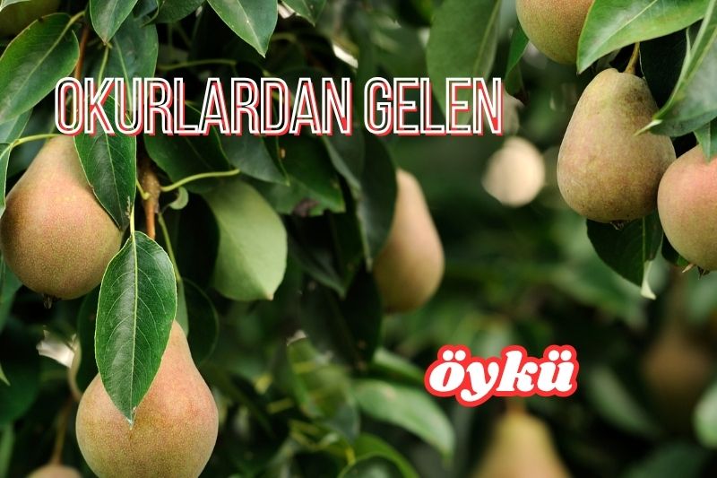 Dedektif Dergi 62